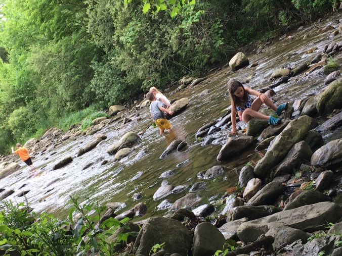 playing in the creek