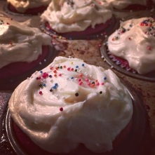 RV cupcakes
